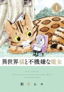 A Cat from Our World and the Forgotten Witch
