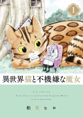 A Cat from Our World and the Forgotten Witch A Cat from Our World and the Forgotten Witch